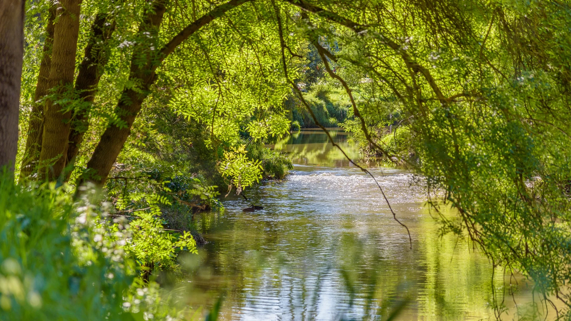 Additional image 27 of 202/36-46 High Street, Preston VIC 3072