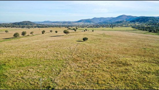 Lot 113 Eagle View Estate, Tamworth NSW 2340, Image 1