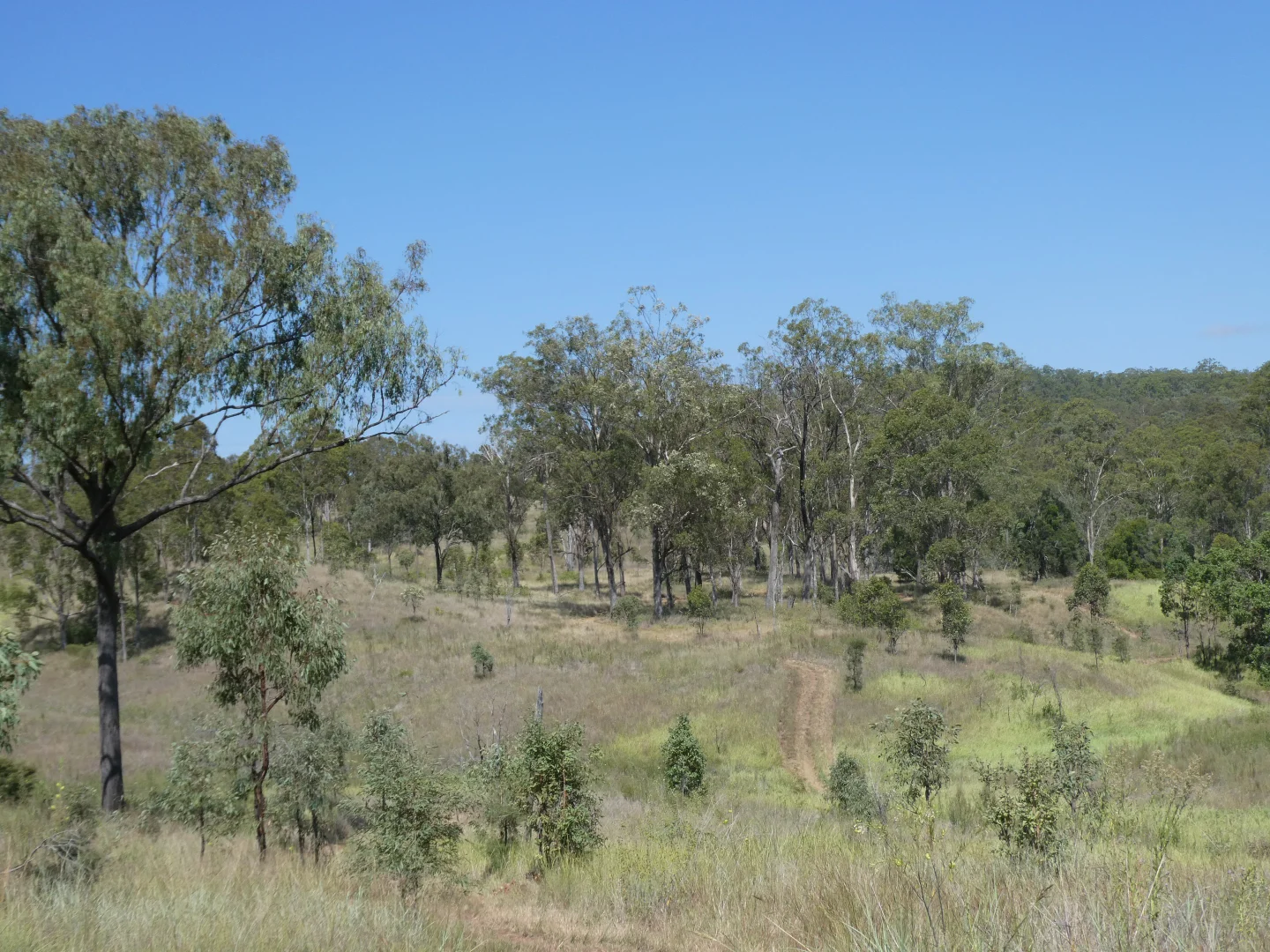 Image 21