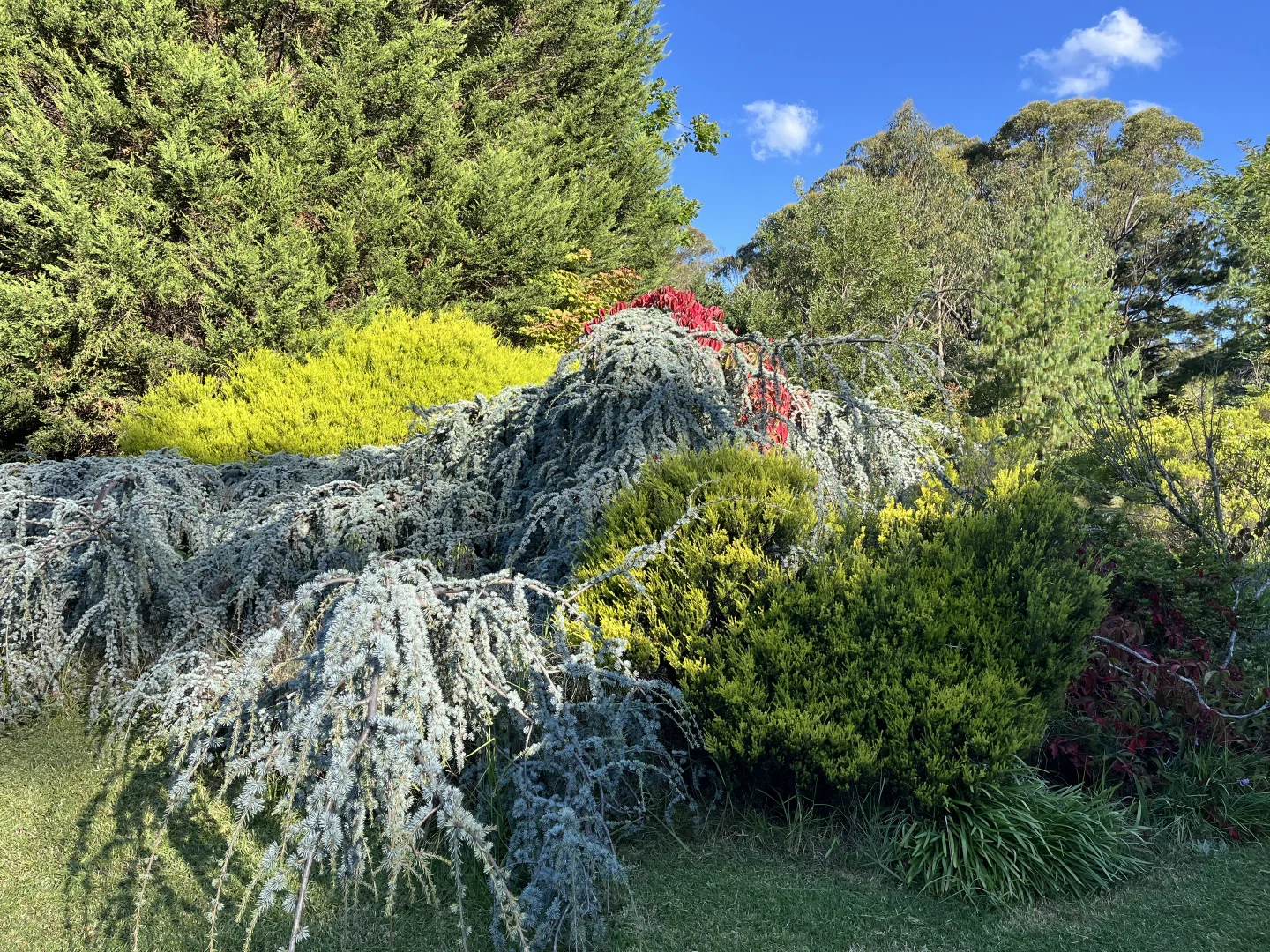 Image 23