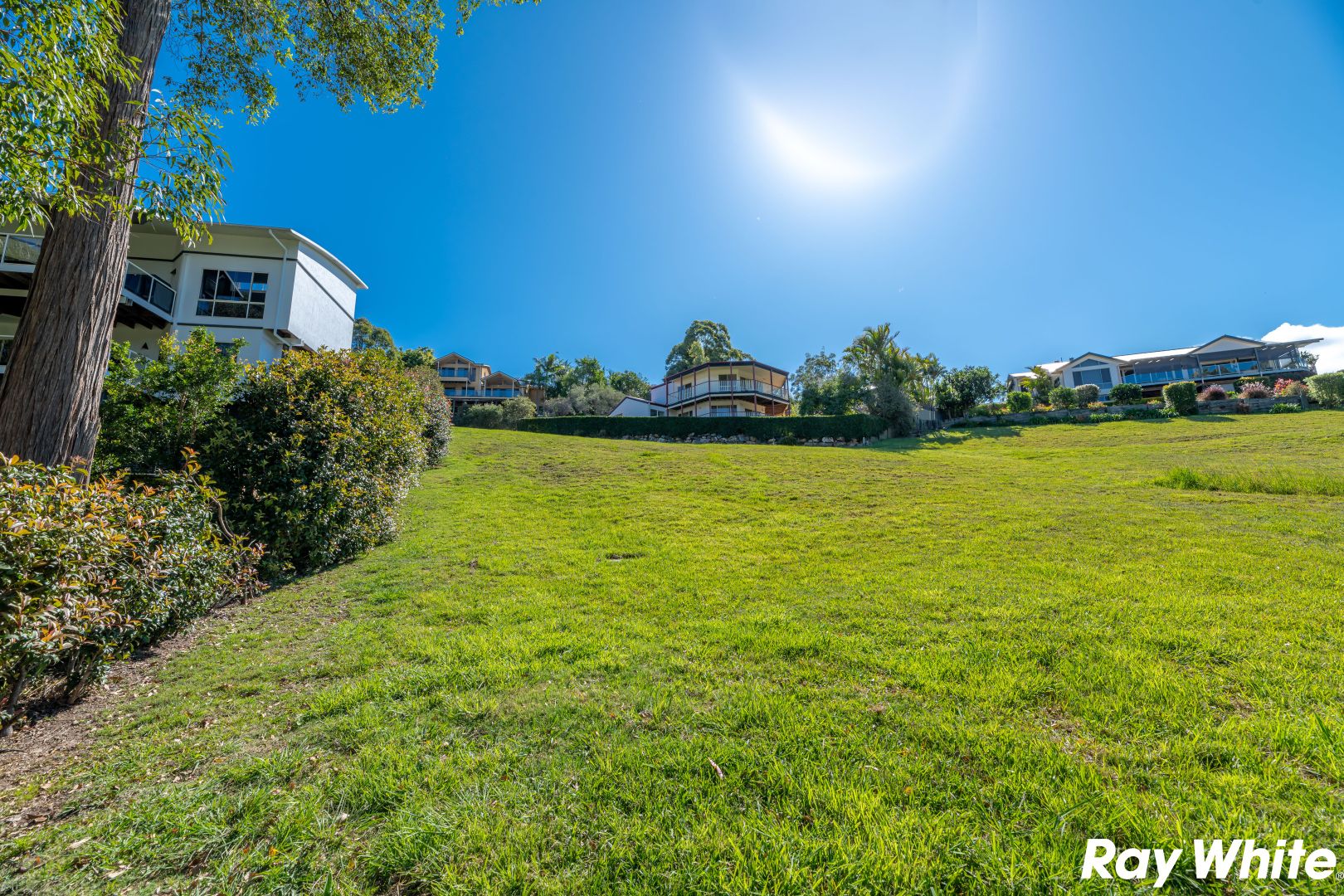 21 The Knoll, Tallwoods Village NSW 2430 Domain