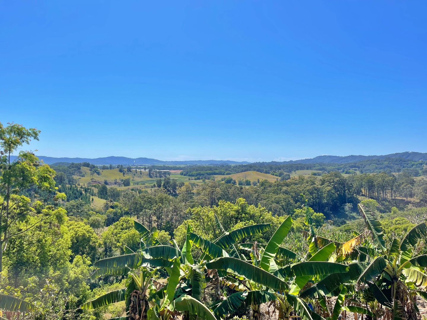 7272 Tweed Valley Way, Fernvale Property History & Address Research