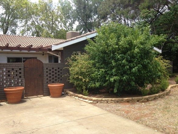 19 Thomson Place, Gunnedah NSW 2380