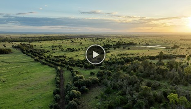 Picture of 2020 Waylandia Valley Road, ROLLESTON QLD 4702