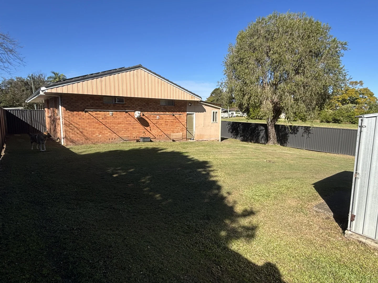 Image 12