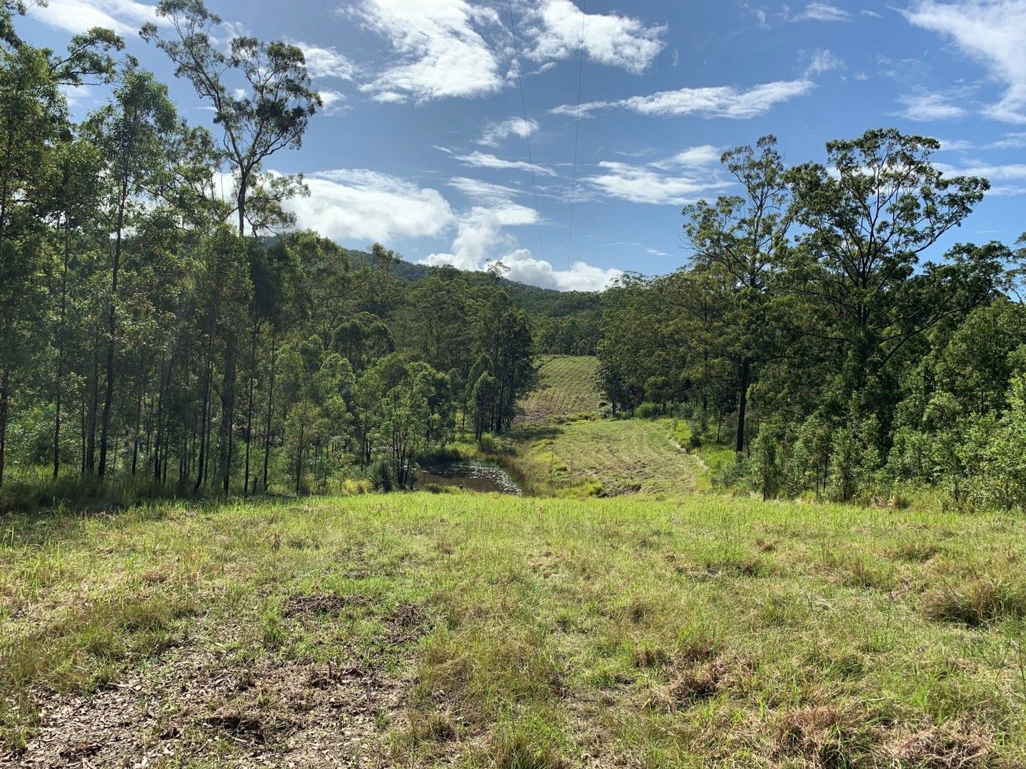 6a Wilsons Lane, Hickeys Creek NSW 2440 House for Sale 350,000