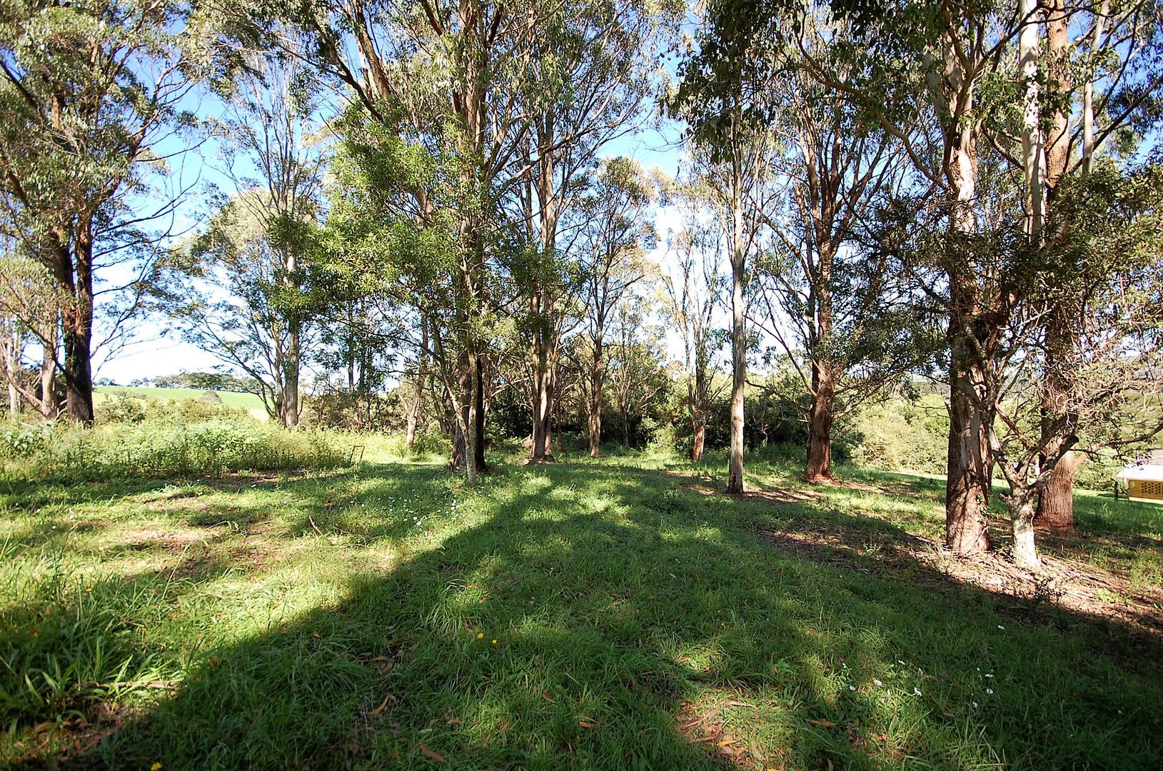 23 Hollibone St, Dorrigo NSW 2453, Image 2