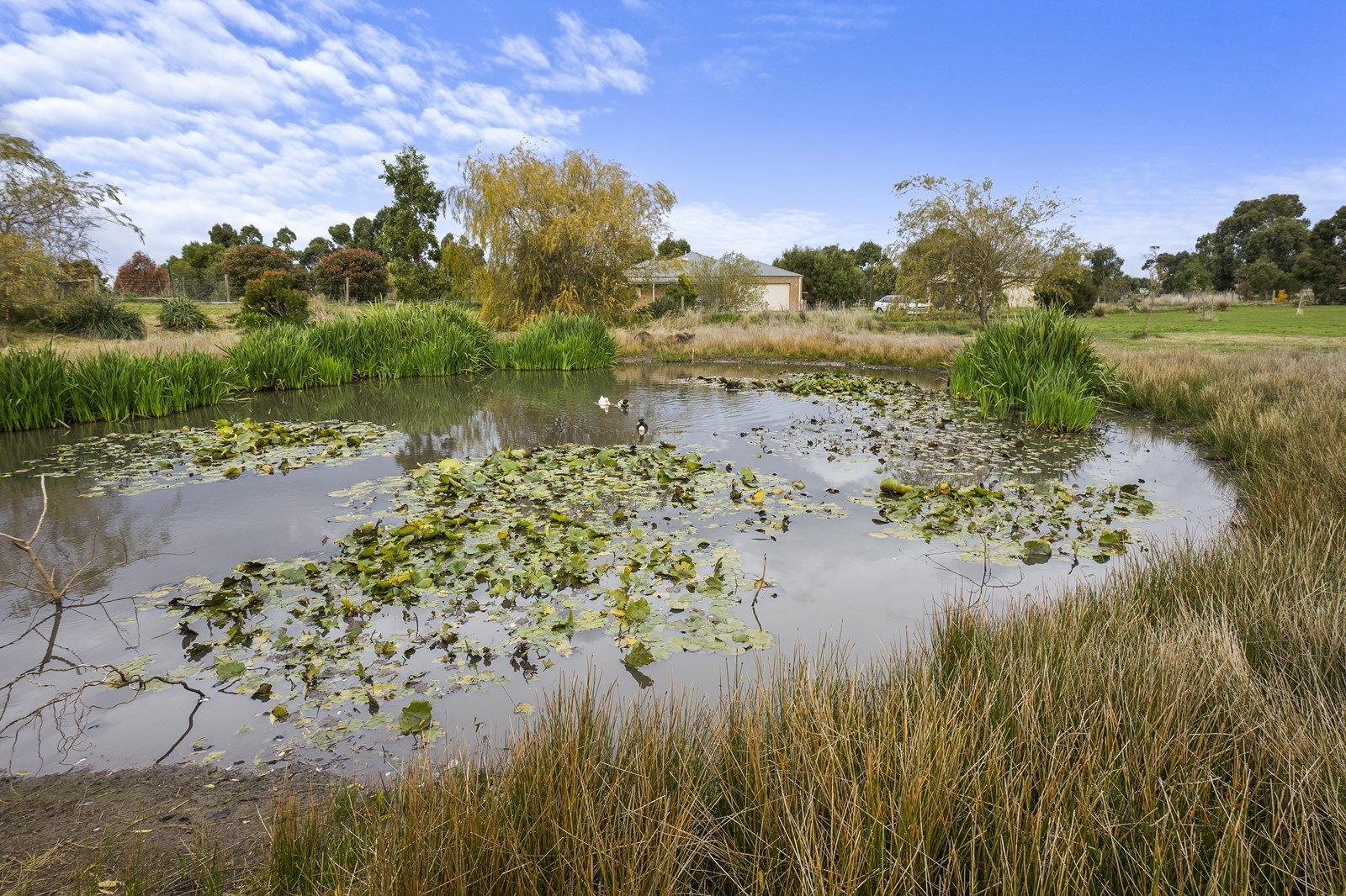 53 Connor Court, Ballan VIC 3342, Image 1