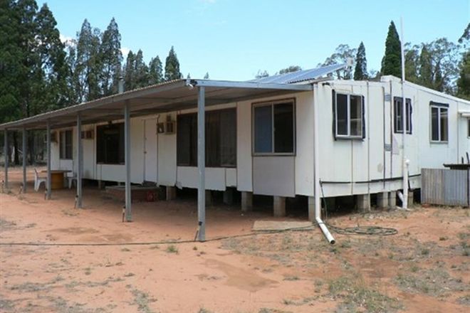 Picture of 135 L Wattle Rd, ELONG ELONG NSW 2831