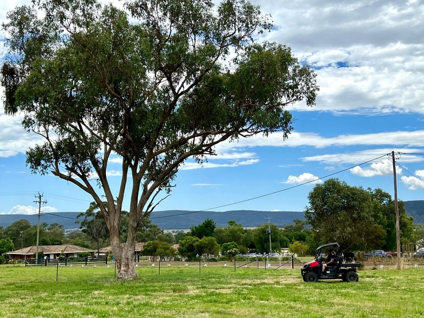 Bendick Murrell Road, Young NSW 2594, Image 1