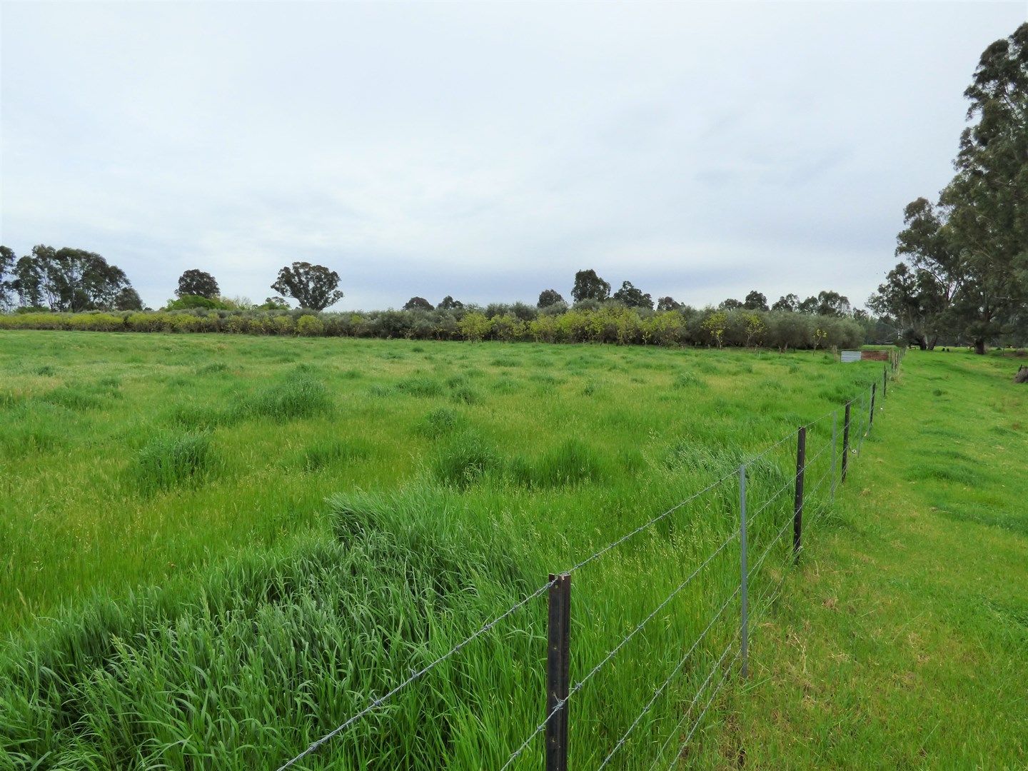 Lot 2 Whorouly Road, Whorouly VIC 3735, Image 0