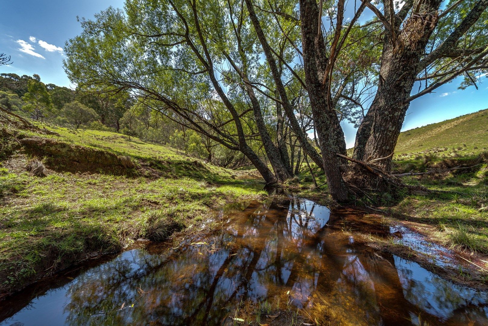 595 Jerrong Road, Taralga NSW 2580, Image 0