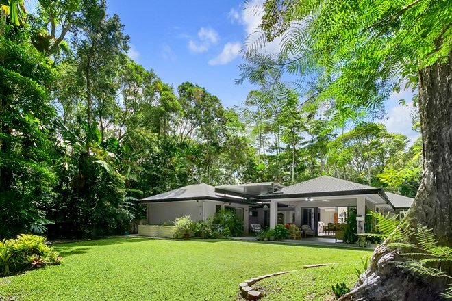 Picture of 2 Fan Palm Place, KURANDA QLD 4881