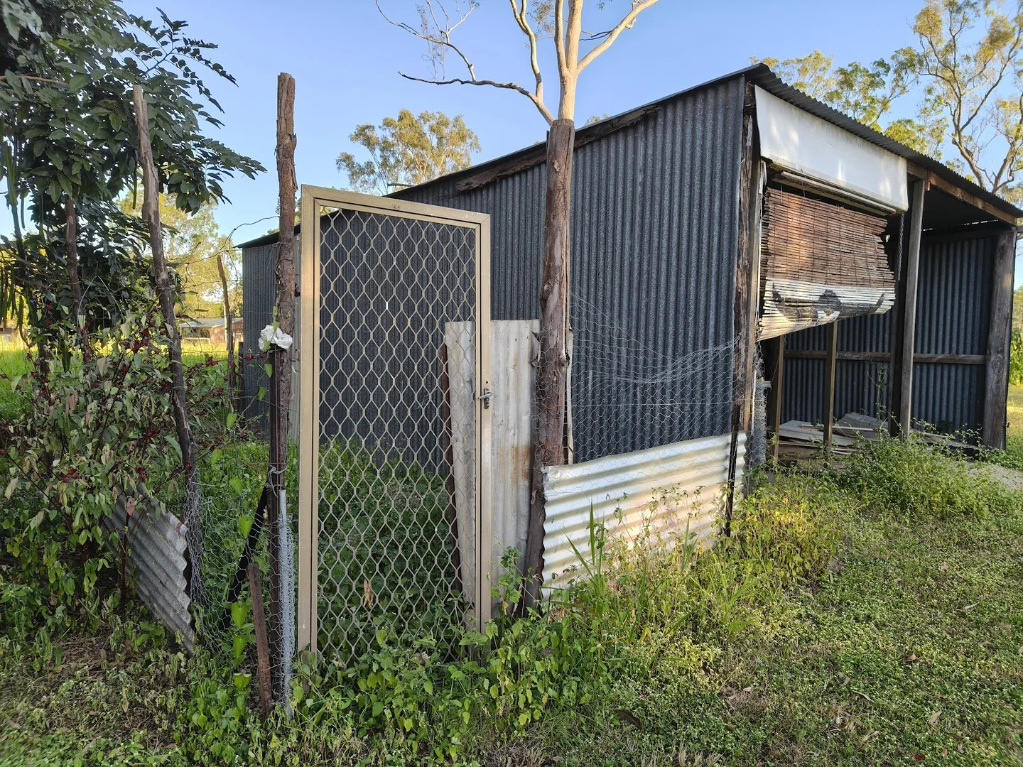 Image 10