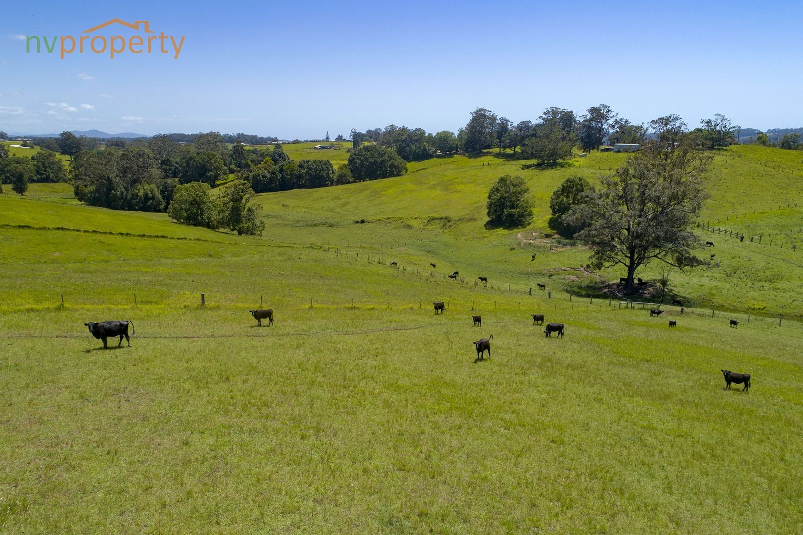 586 Upper Warrell Creek Road, Congarinni NSW 2447, Image 2