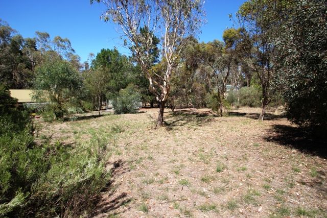 Lot 66 Adelaide North Road, Watervale SA 5452, Image 2