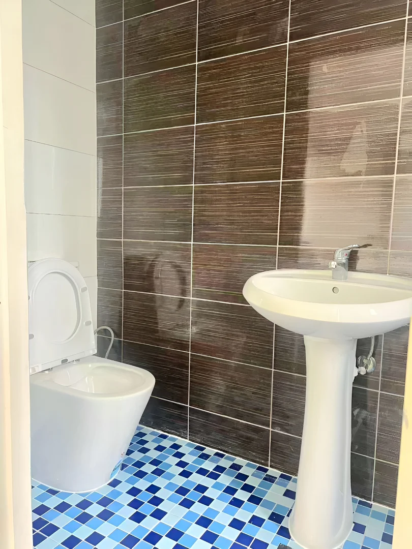 Additional image 5 of X Day Street, Lansvale NSW 2166