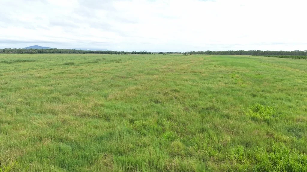 Additional image 13 of 3 Comiskey Road, Giru QLD 4809