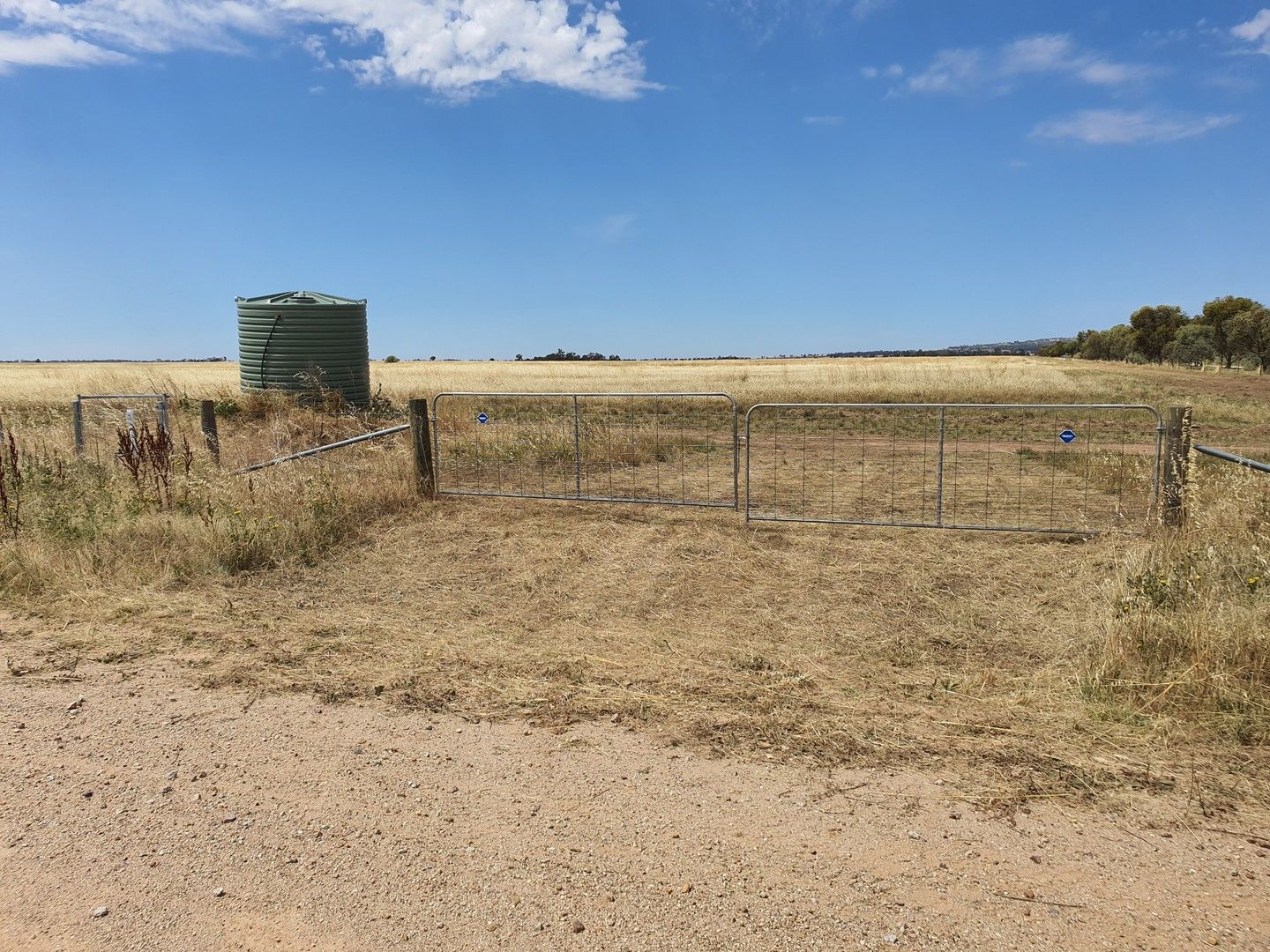 JUNGABURRA ROAD, Terrick Terrick VIC 3575 House for Sale Domain