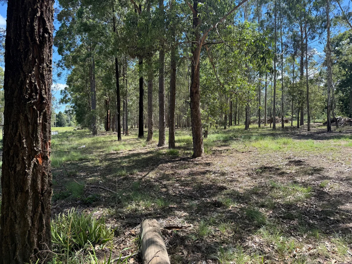 Additional image 24 of 105 McLaughlan Road, Benarkin North QLD 4314