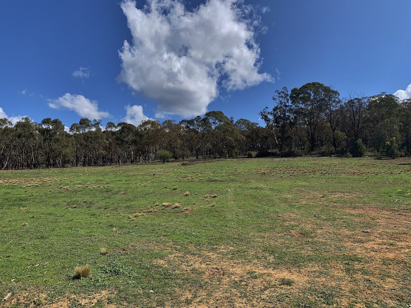 Lot 312 Kneale Street, Wattle Flat NSW 2795, Image 1