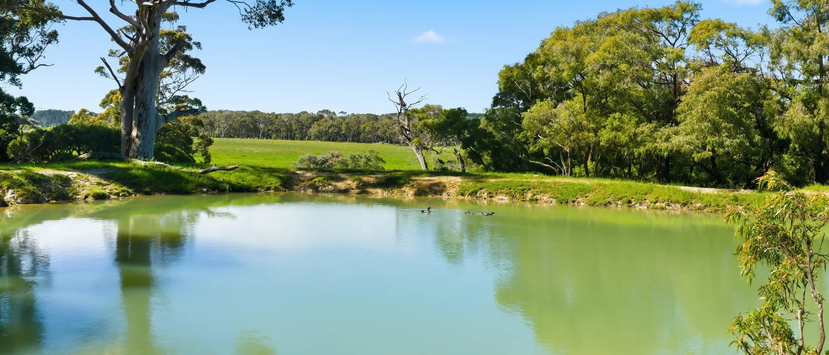 10665 Caves Road, Deepdene WA 6290 - House for Sale | Domain