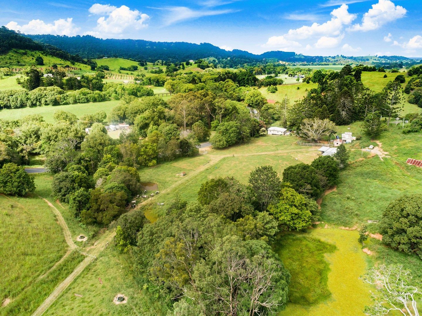 6003 TWEED VALLEY WAY, Burringbar NSW 2483, Image 0