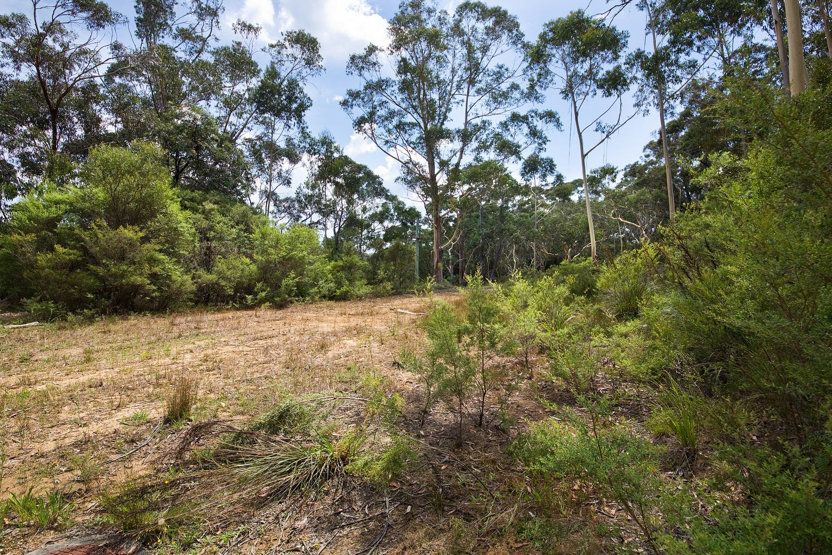 Land Release 6 Blocks Available - 27 Bettington Rd (Block 3), Blackheath NSW 2785, Image 2