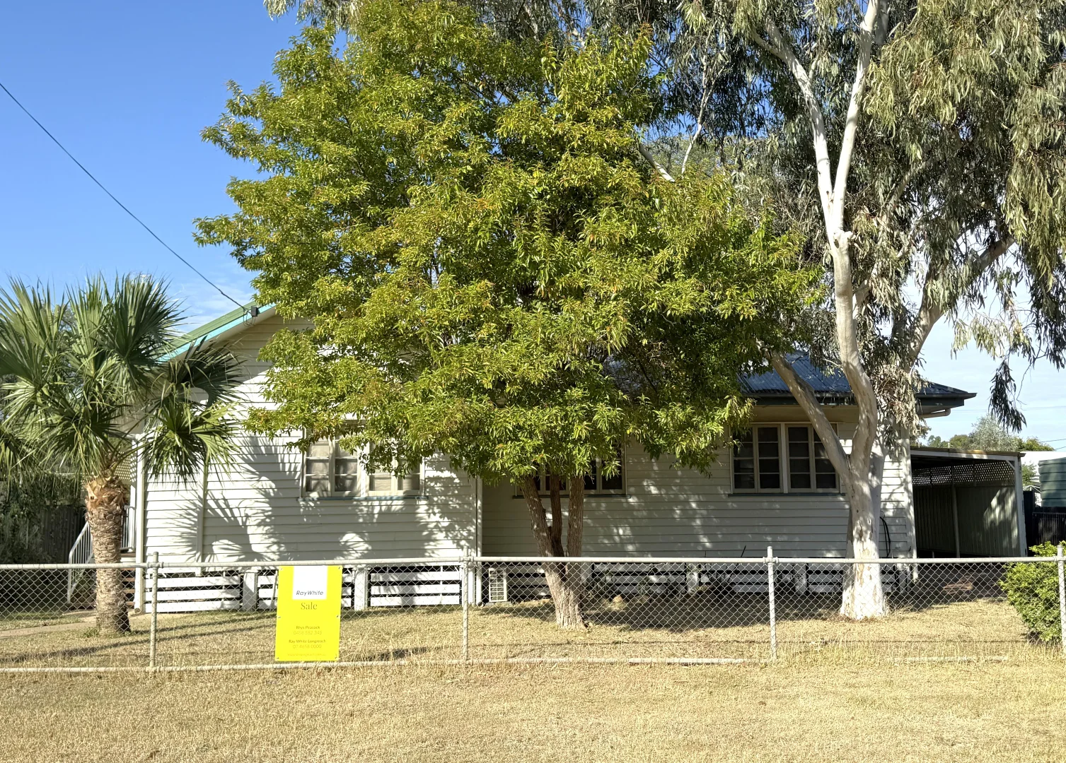 Image 13