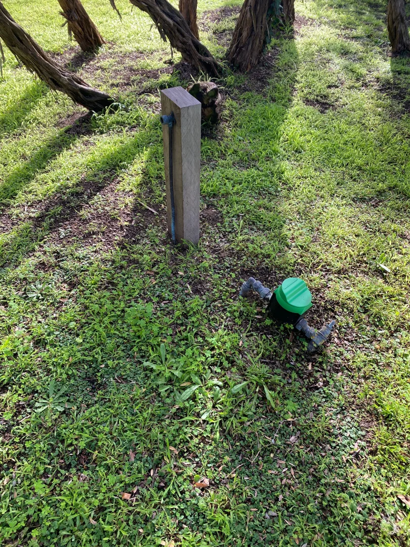 Image 8