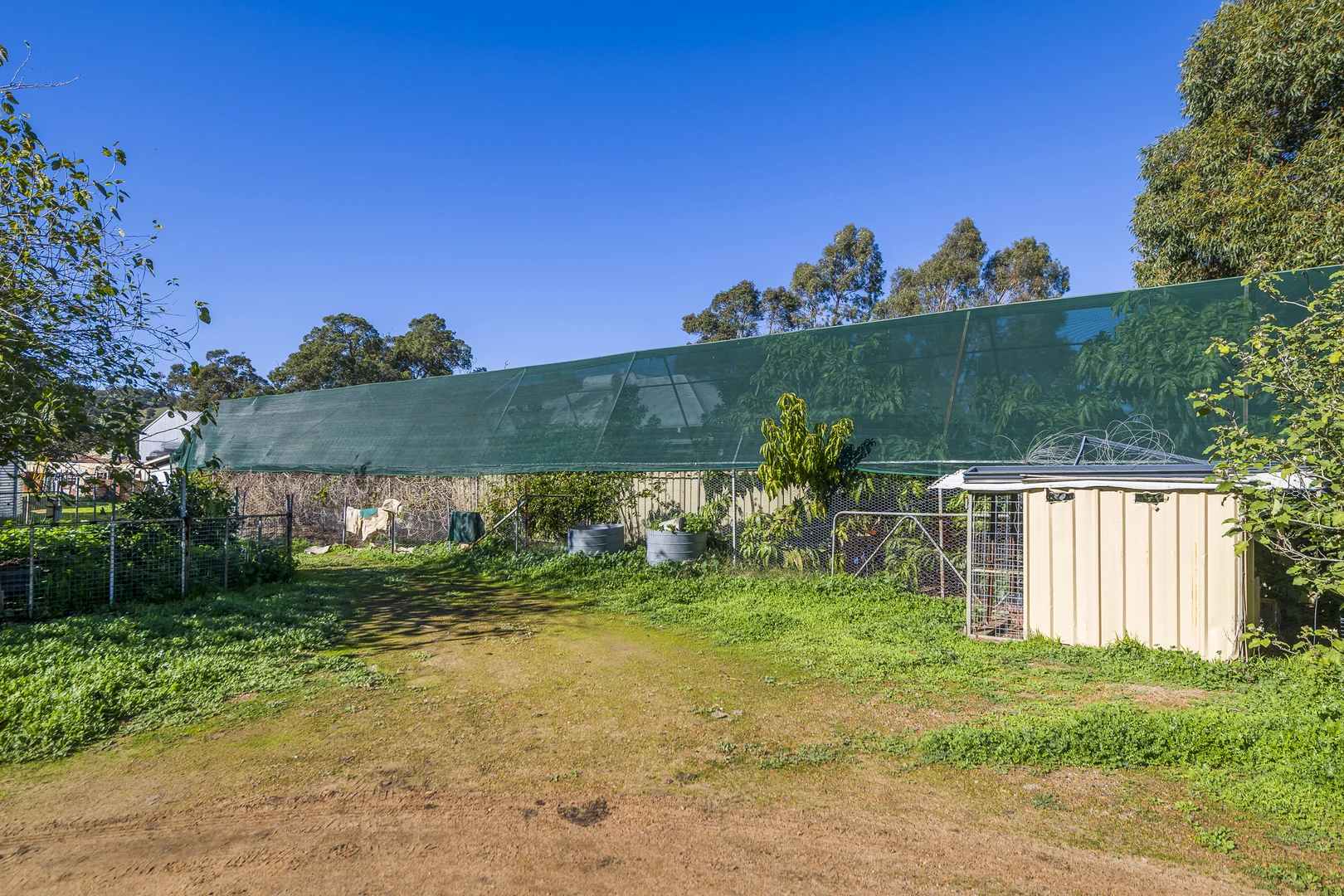 Image 26
