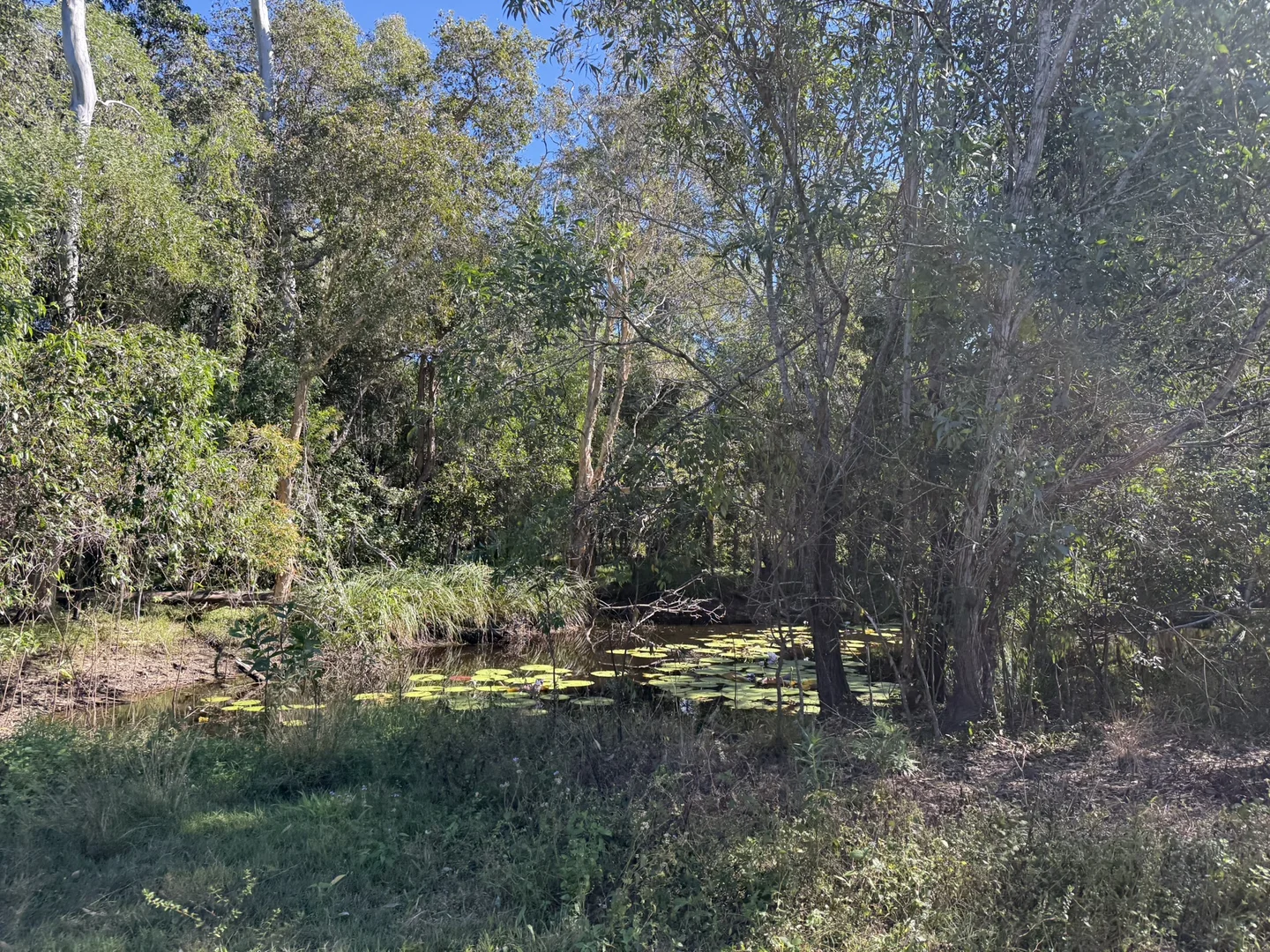 Image 15