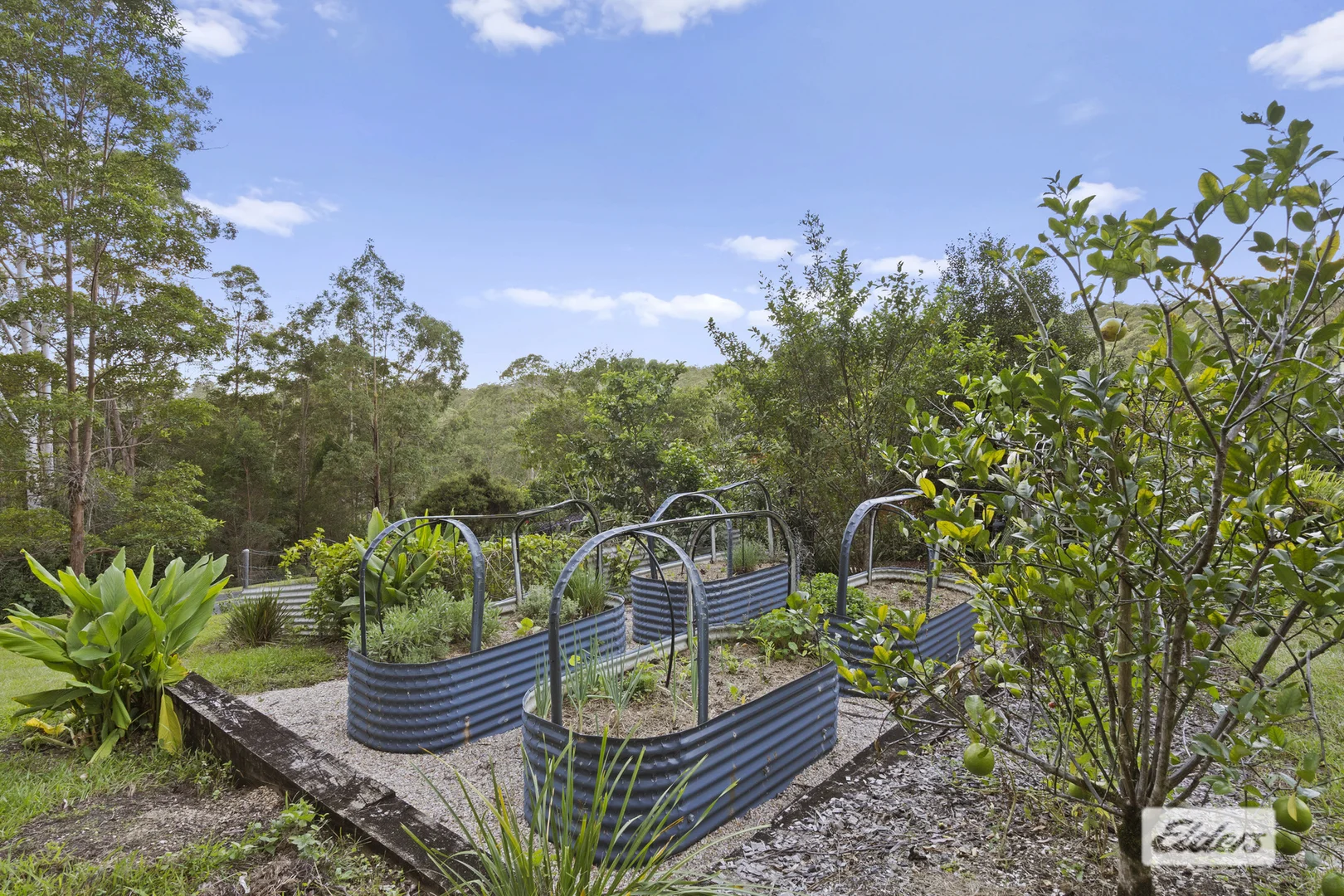 Additional image 37 of 29 Waratah Court, Mount Burrell NSW 2484