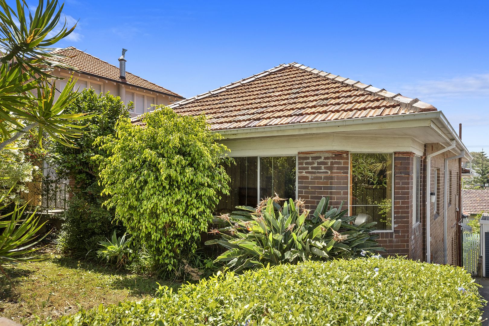 31 Division Street, Coogee Property History & Address Research Domain