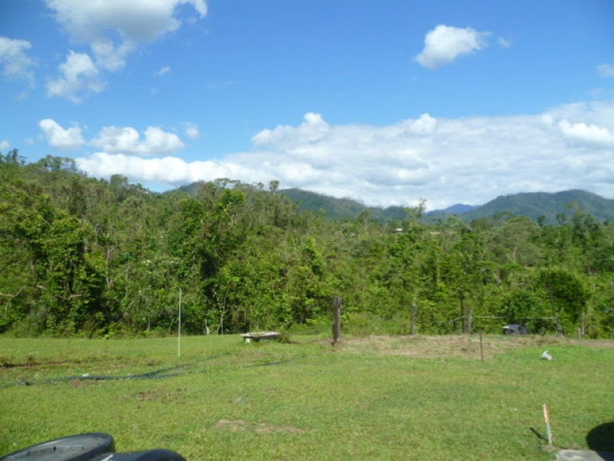 Mena Creek QLD 4871 Farm for Sale 575,000 Domain