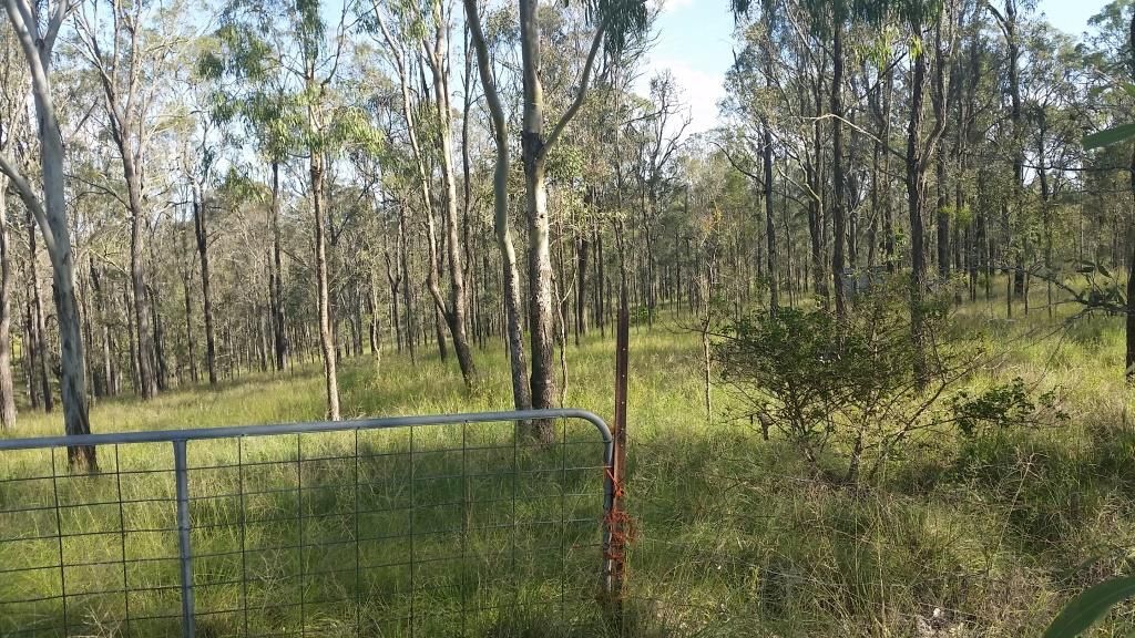 Lot 19 Brazier Road, Runnymede QLD 4615, Image 1