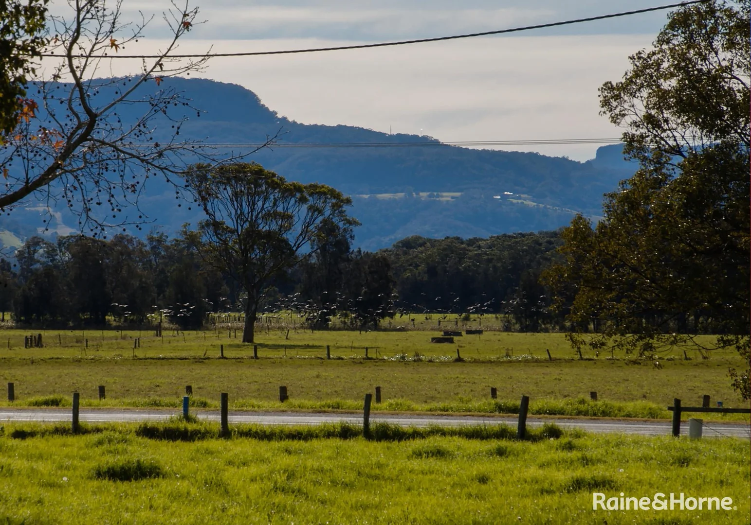 Additional image 31 of 680 Bolong Road, Bolong NSW 2540