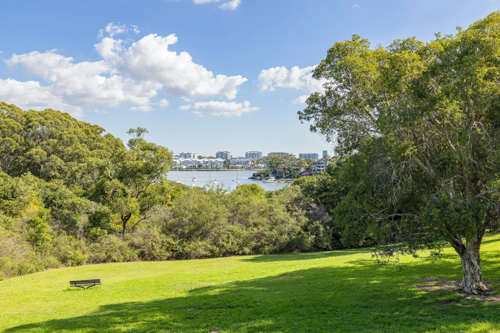 Additional image 30 of 17 Linsley Street, Gladesville NSW 2111