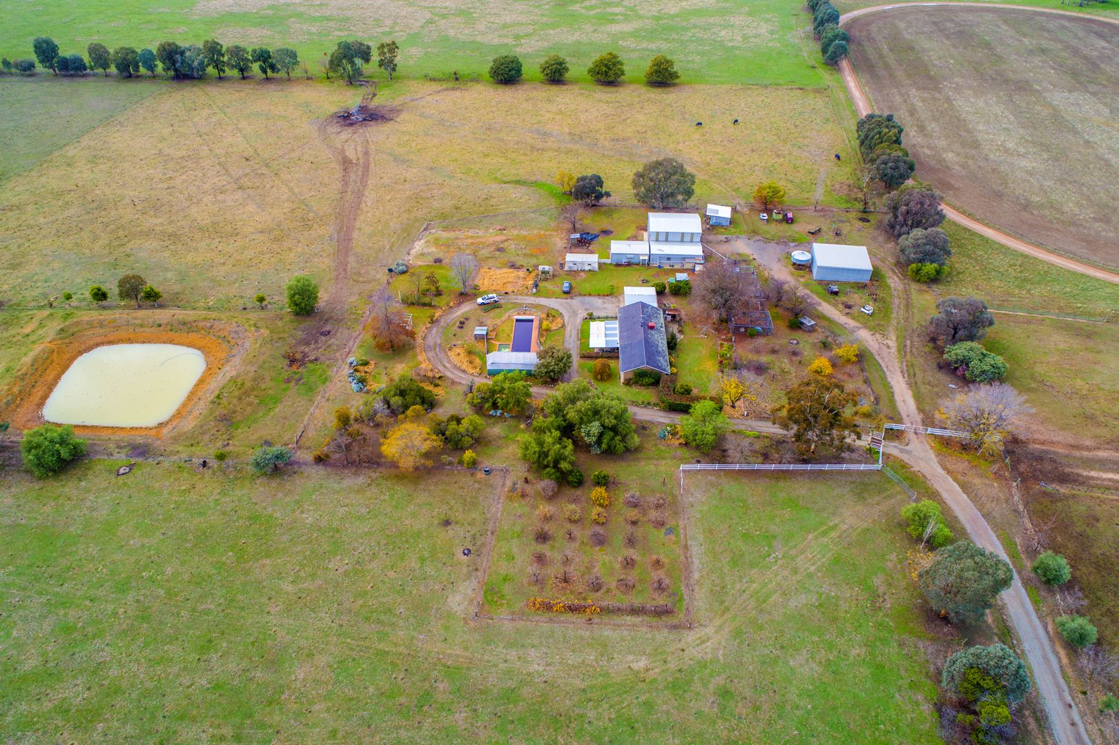 "Birrabang' 826 Gerogery Road, Jindera NSW 2642, Image 1