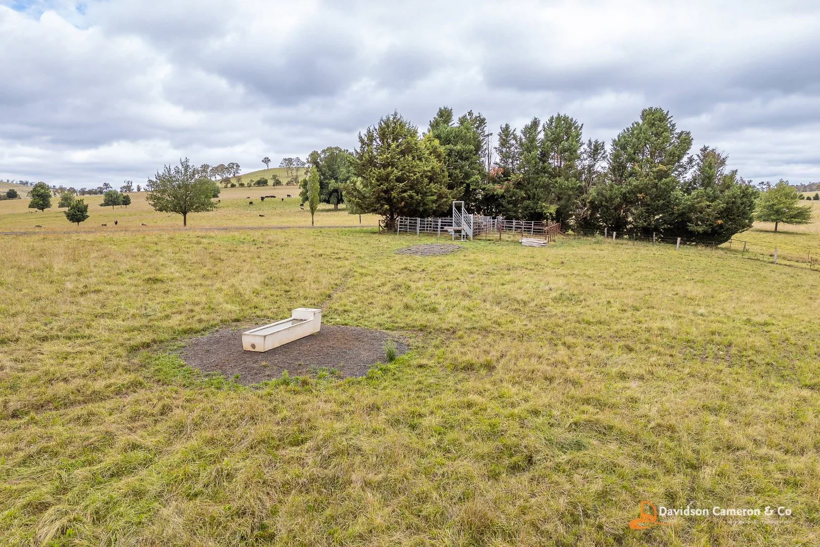 Additional image 13 of "Langleigh" 14503 Thunderbolts Way, Walcha NSW 2354