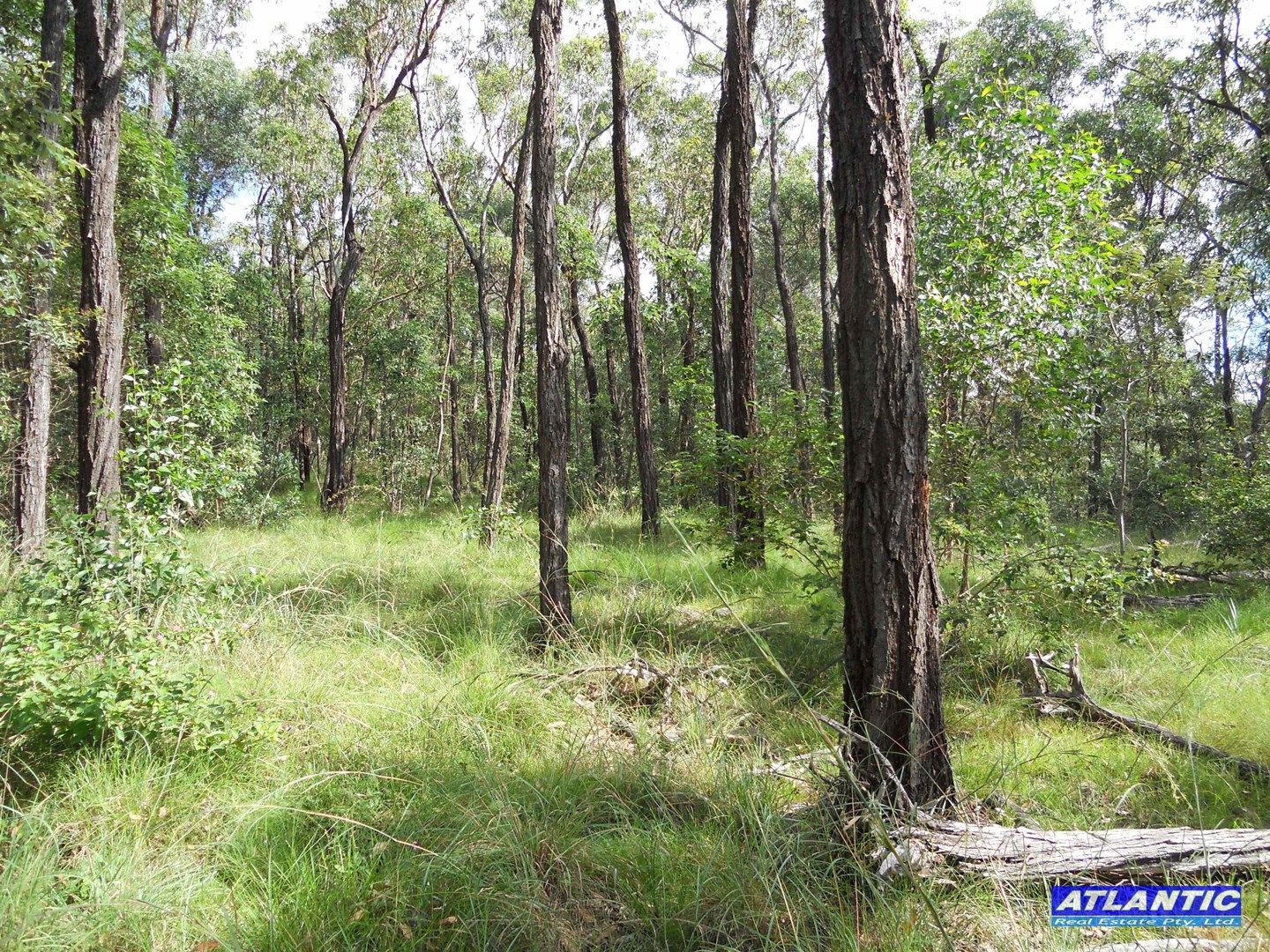 lot5/750 Lake Moogerah Road, Charlwood QLD 4309, Image 0