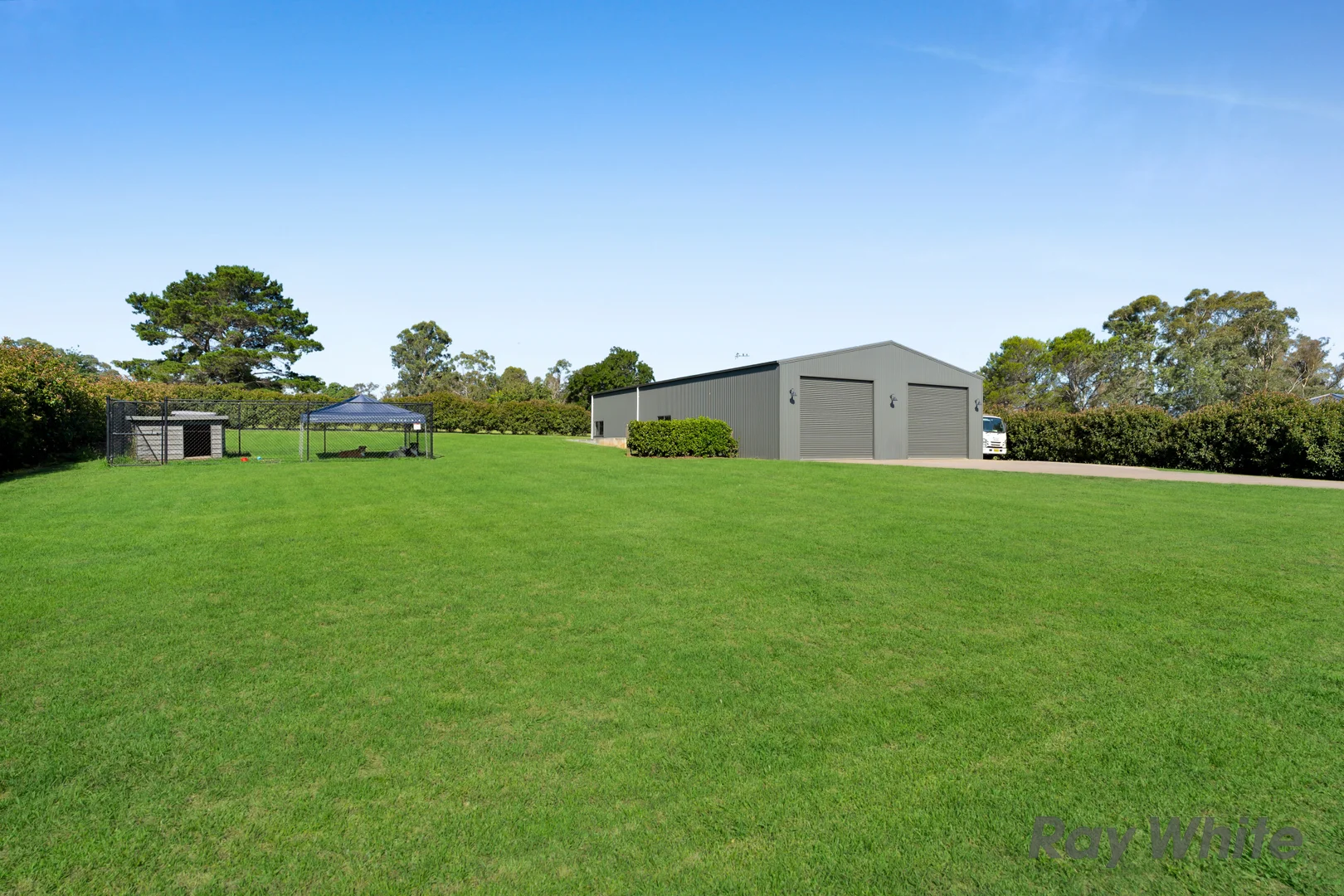 Image 21