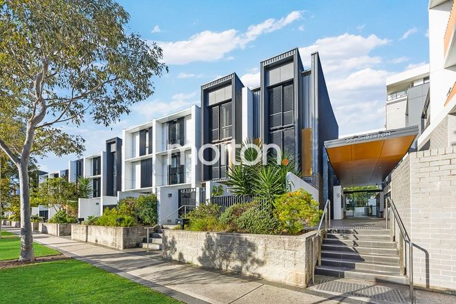 Picture of 3013/50 Pemberton Street, BOTANY NSW 2019