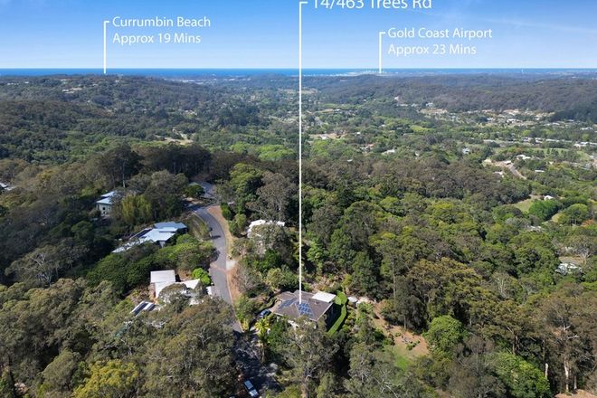 Picture of Lot 14/463 Trees Road, TALLEBUDGERA QLD 4228