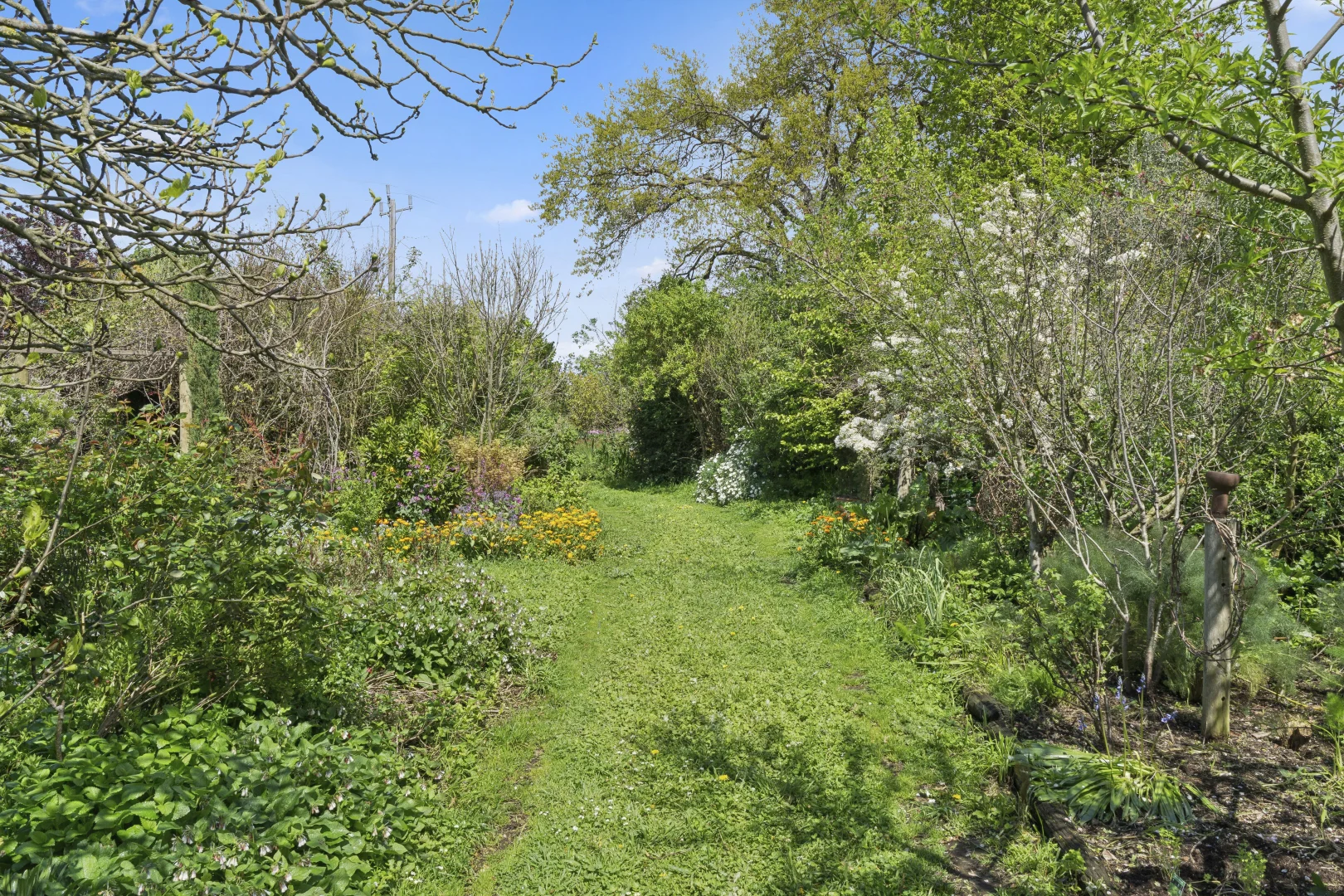 Image 21