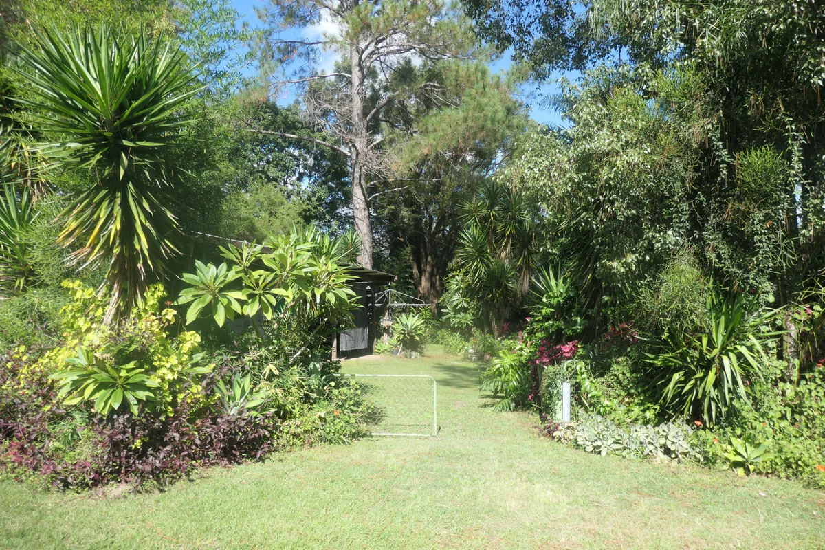 Image 15