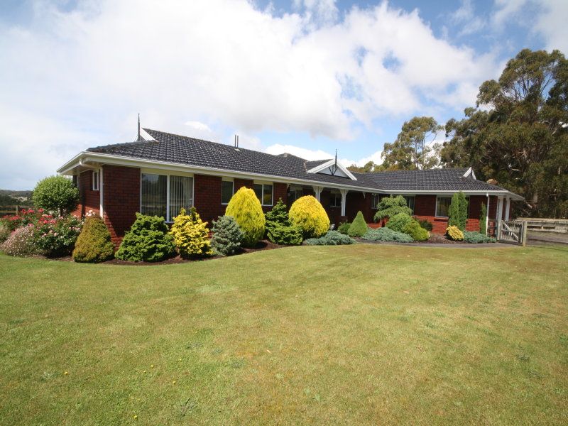 219 Calder Road, Wynyard TAS 7325, Image 1