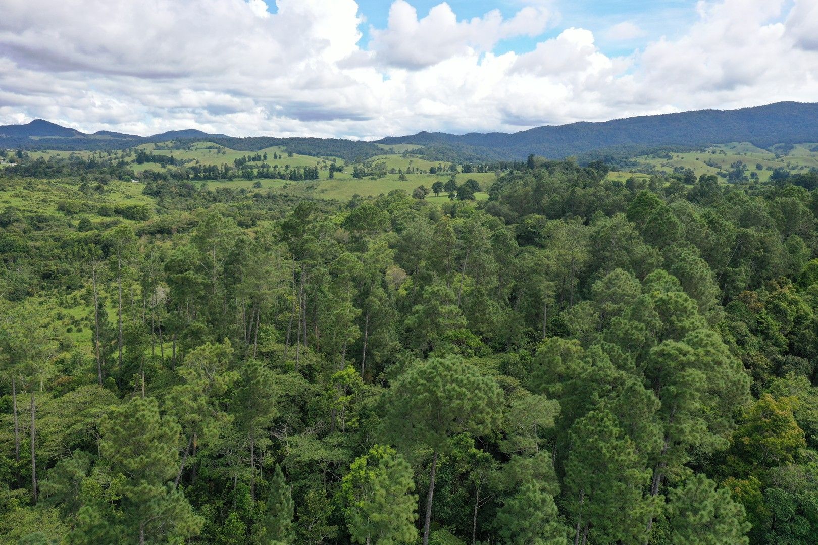 145 Middlebrook Road, Middlebrook QLD 4886 House for Sale 580,000