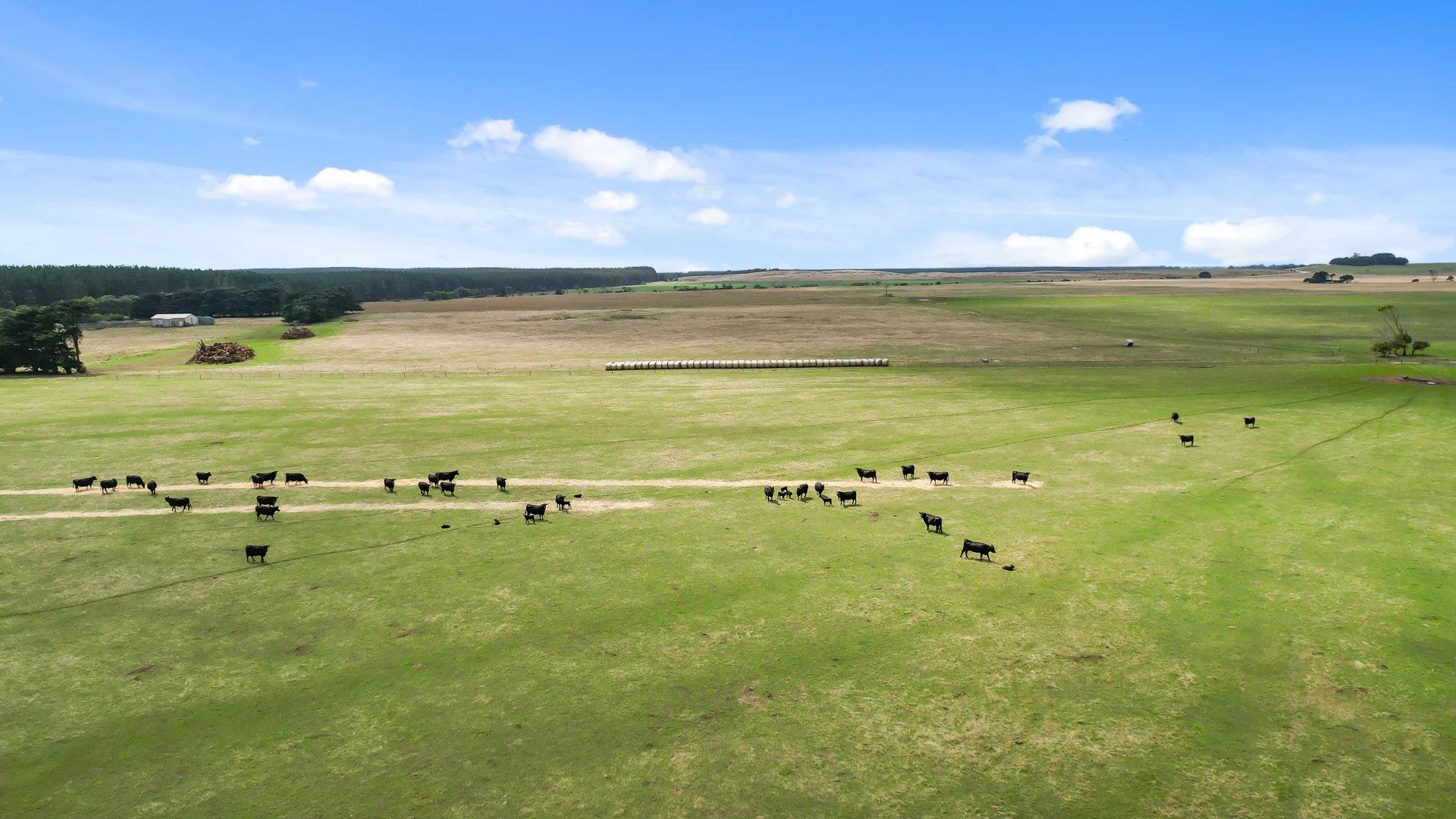 Additional image 5 of 603 Blackfellows Caves Road, Kongorong SA 5291