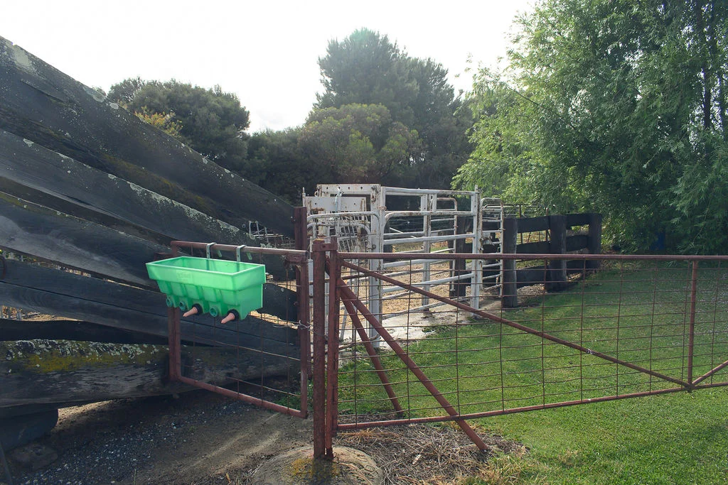 Image 29
